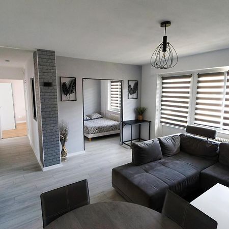 Agreable Et Spacieux Appartement Lumineux T4 Alsace Riedisheim Buitenkant foto
